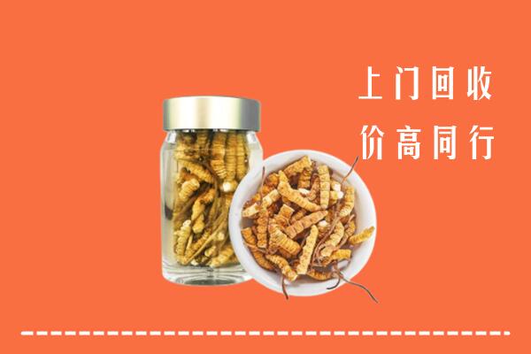 忻州保德回收冬虫夏草